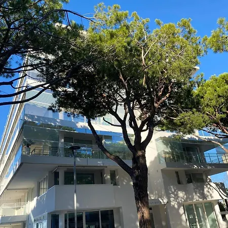 Daire Palm 80 Mt Dal Mare E Comodo Per Venezia